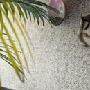 Rubelli_Wallcovering_Diecilode_Wall_2.1160